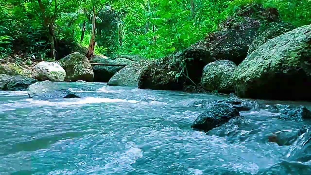 The Sound of a Green River Flowing Soothingly, Peaceful Sounds for Sleep and Relaxation