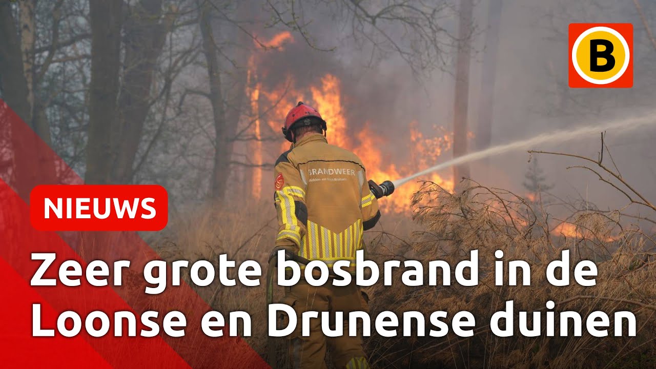 Rookwolken tot in de wijde omgeving te zien | Omroep Brabant
