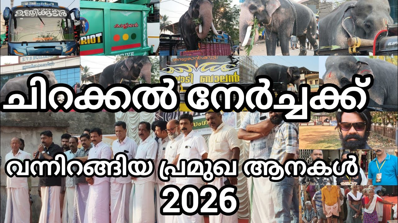 ചിറക്കൽ നേർച്ചക്ക് വന്നിറങ്ങിയ പ്രമുഖ ആനകൾ 2026 അൽ അമീൻ ടീമിന്റെയും തറവാട് ടീമിന്റെയും പ്രോഗ്രാം 