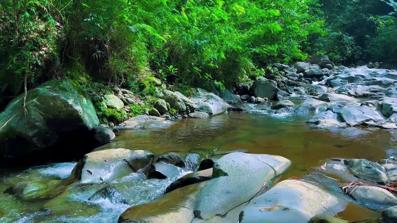 Peaceful River Flowing Sound | Gentle River, Relaxing Nature Sounds | White Noise for Sleep, Study