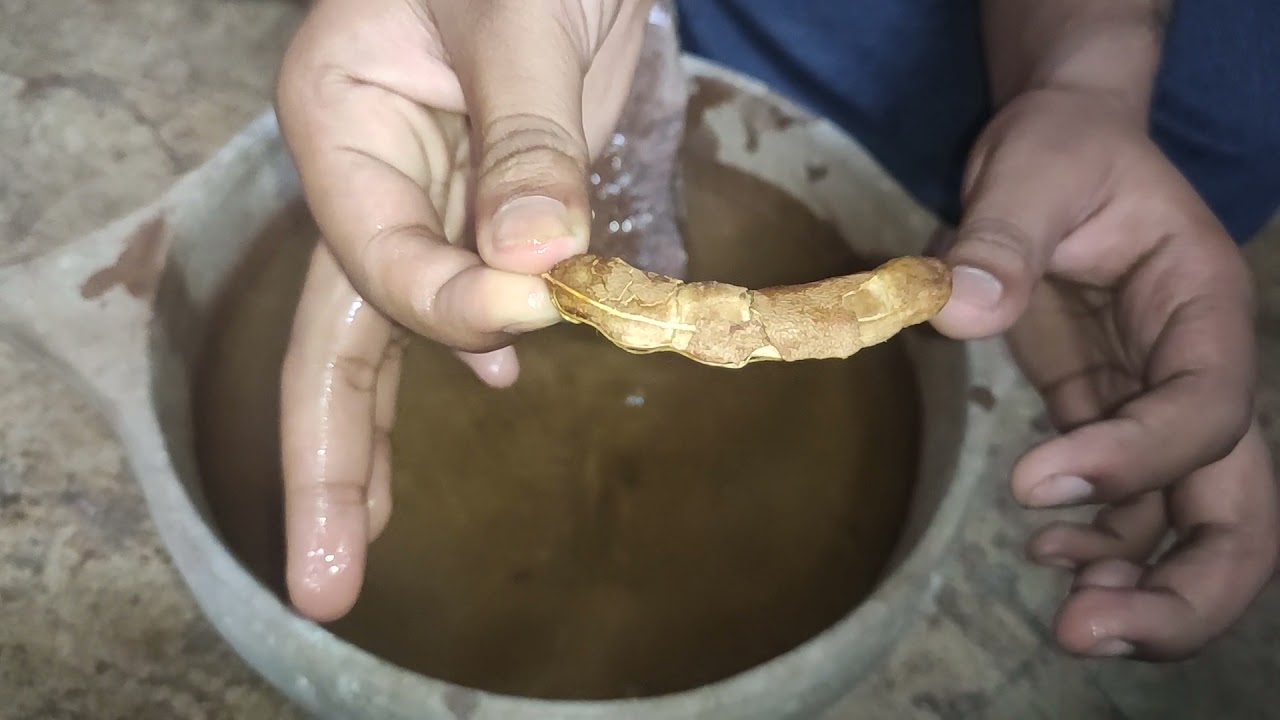 Kabutar Ki Masti Khatam Krne Ka Khel Pani