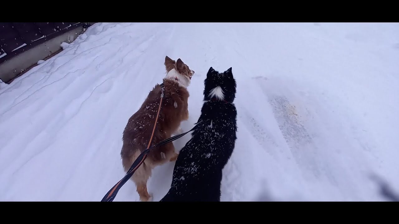2026AUSSIE A GOGO!!　　雪上オフ会前乗り日　　　　　　　　　　　　　　　茨城～福井～石川への道中