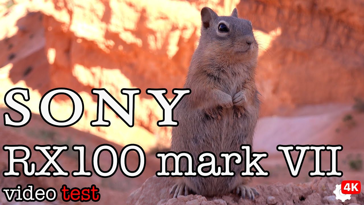 Sony RX100 VII || видео тест