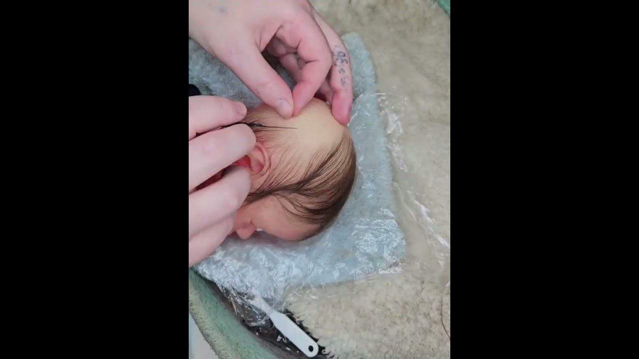 One hour of reborn rooting in 1 minute