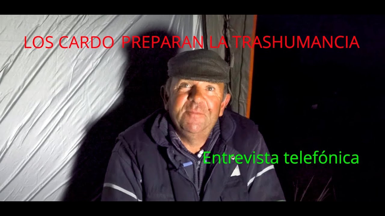 Los Cardo preparan la trashumancia
