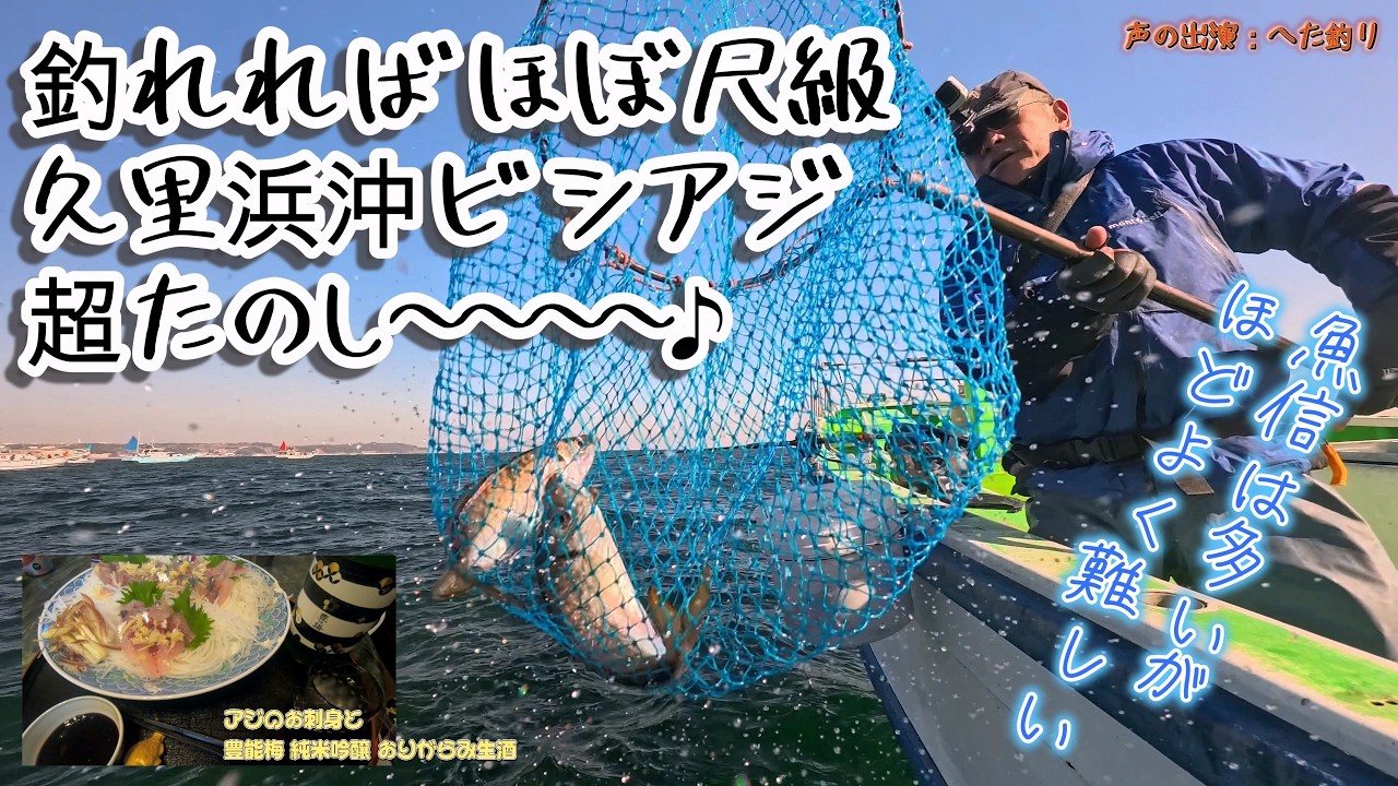 【声も出演版】素直に魚信って超楽しい♪ 久里浜沖で尺級アジ乱舞!! ビシアジはこうでなくっちゃ～東京湾初釣りはおあずけだけどいい群れに当たる～（2026.2.21 京急大津・いなの丸 午前アジ）