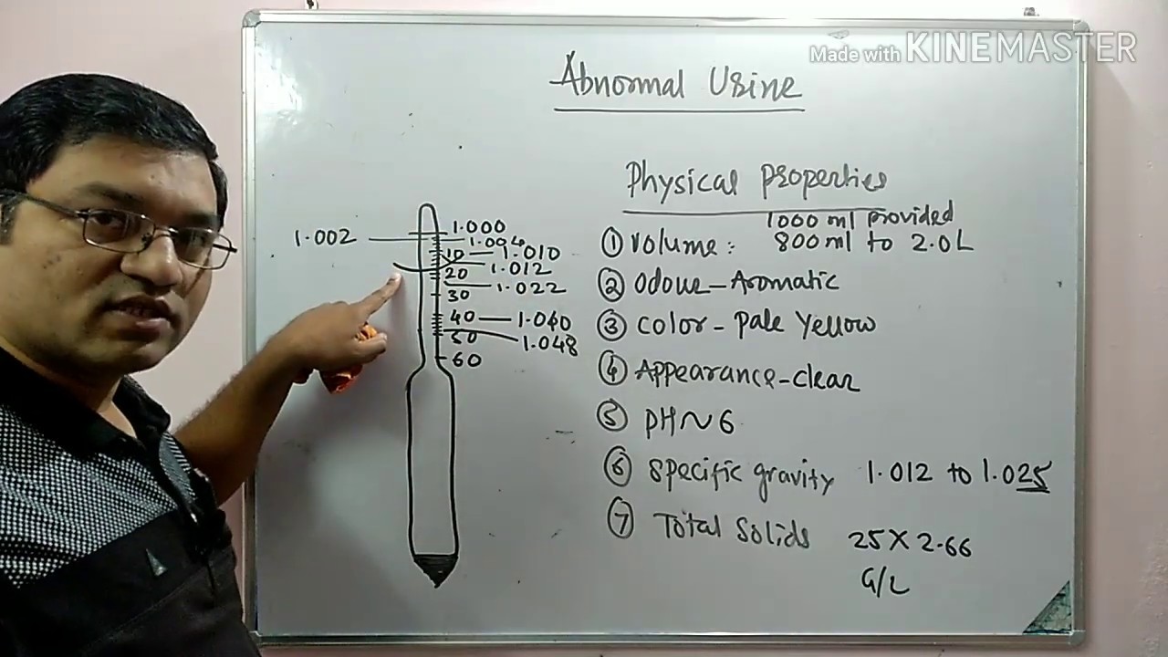 Physical properties of urine (Abnormal constituents of urine Part 1)