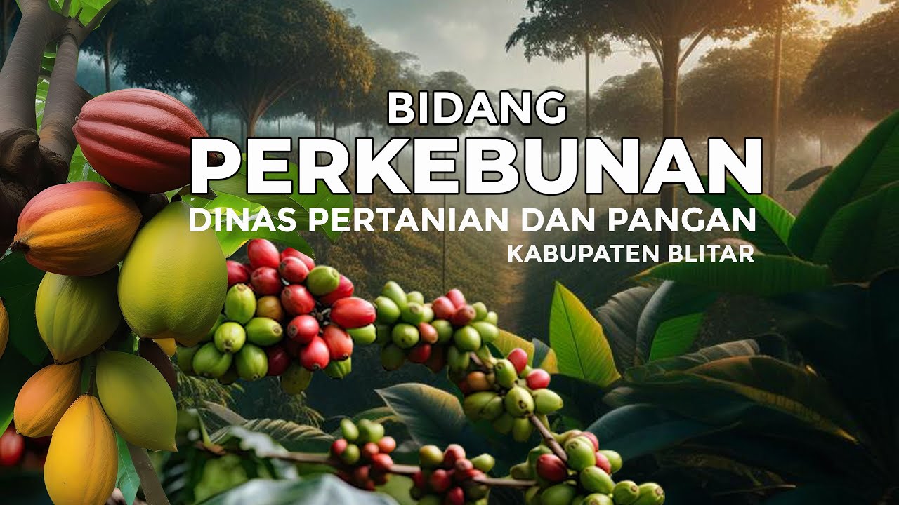 BIDANG PERKEBUNAN DINAS PERTANIAN DAN  PANGAN KABUPATEN BLITAR - KOMODITAS UNGGULAN PERKEBUNAN