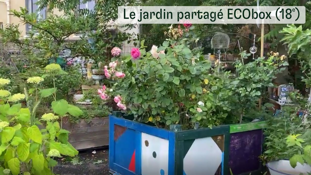 Le jardin partagé ECObox