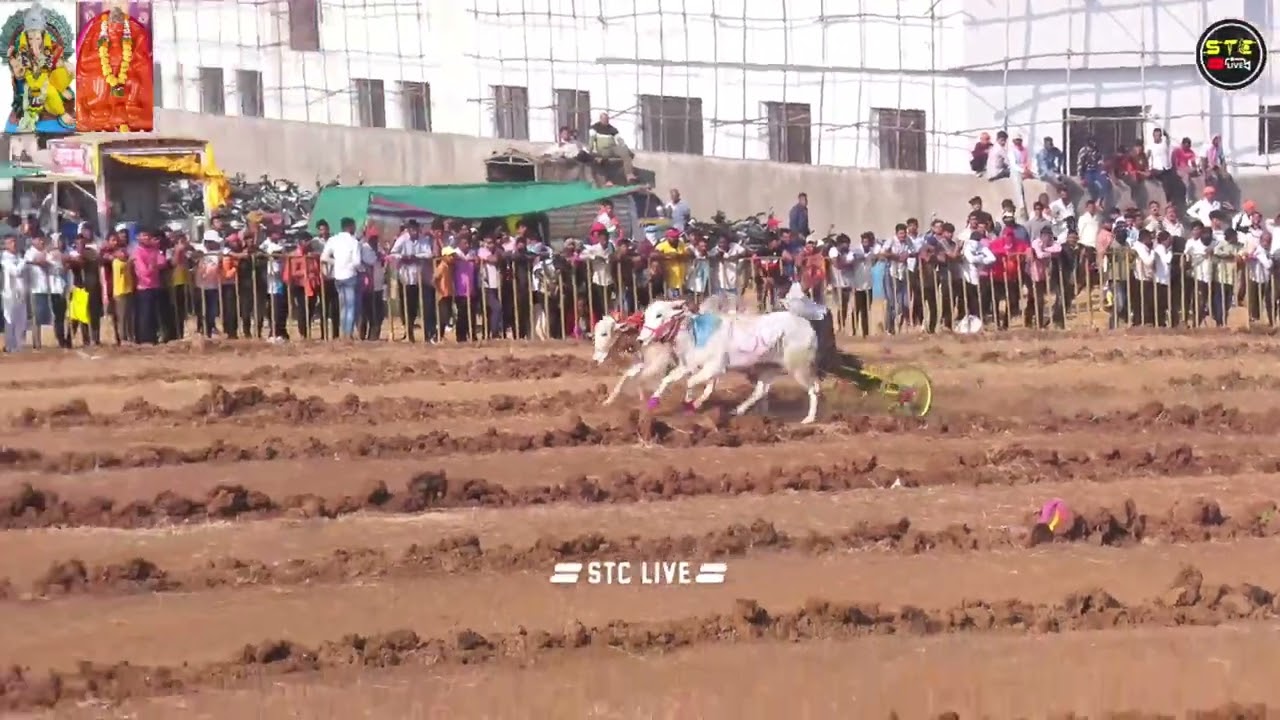 भारत विजयी गट क्रमांक - 74 जय हनुमान केसरी -2026