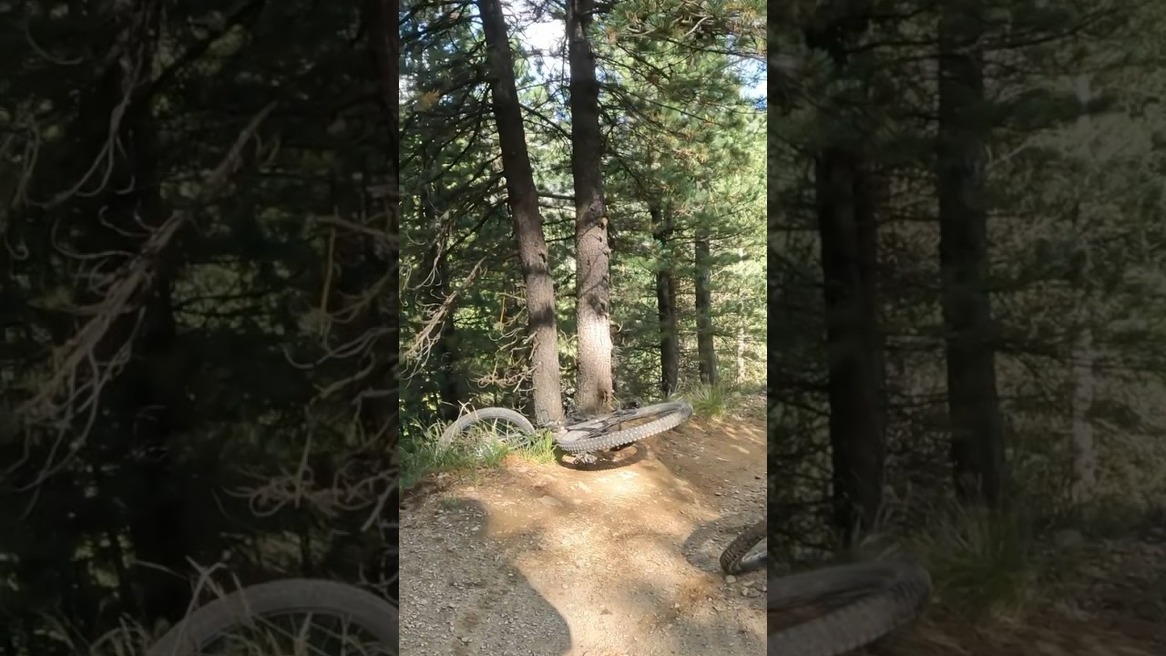Chaos auf dem Trail😂 #ckmtb #mountainbike #mtb #shortvideo #shorts #short #viral #livigno #share