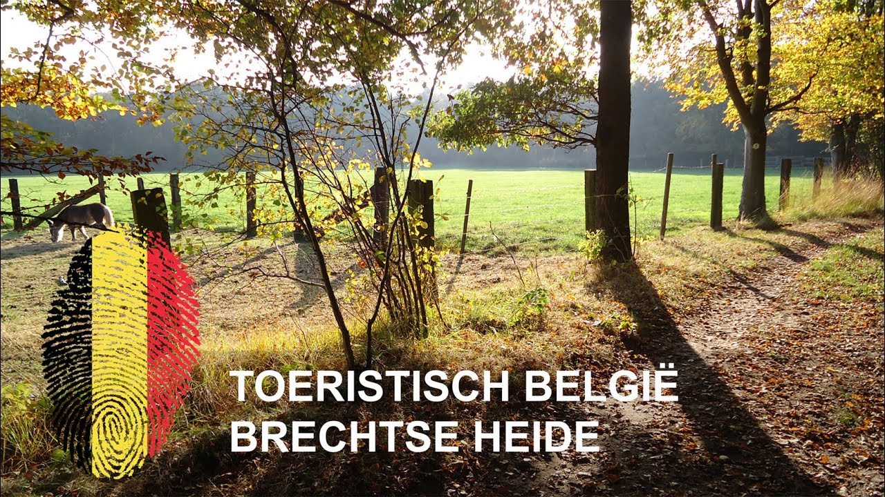 Belgi&euml; | Brechtse heide | Herfst 2016