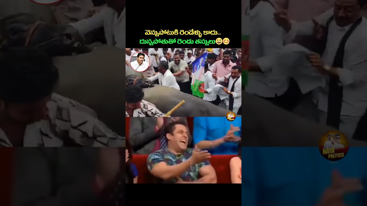 దున్నపోతుతో రెండు తన్నులు😂#ysjagan #ysrcp #viralshort #tdp #cbn #ytviral #troll #comedy #jagantrolls