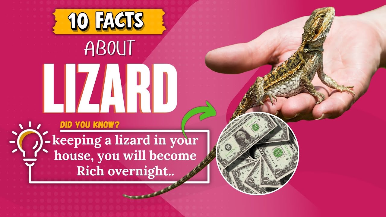 10 Facts About Lizards #didyouknow #animals #facts