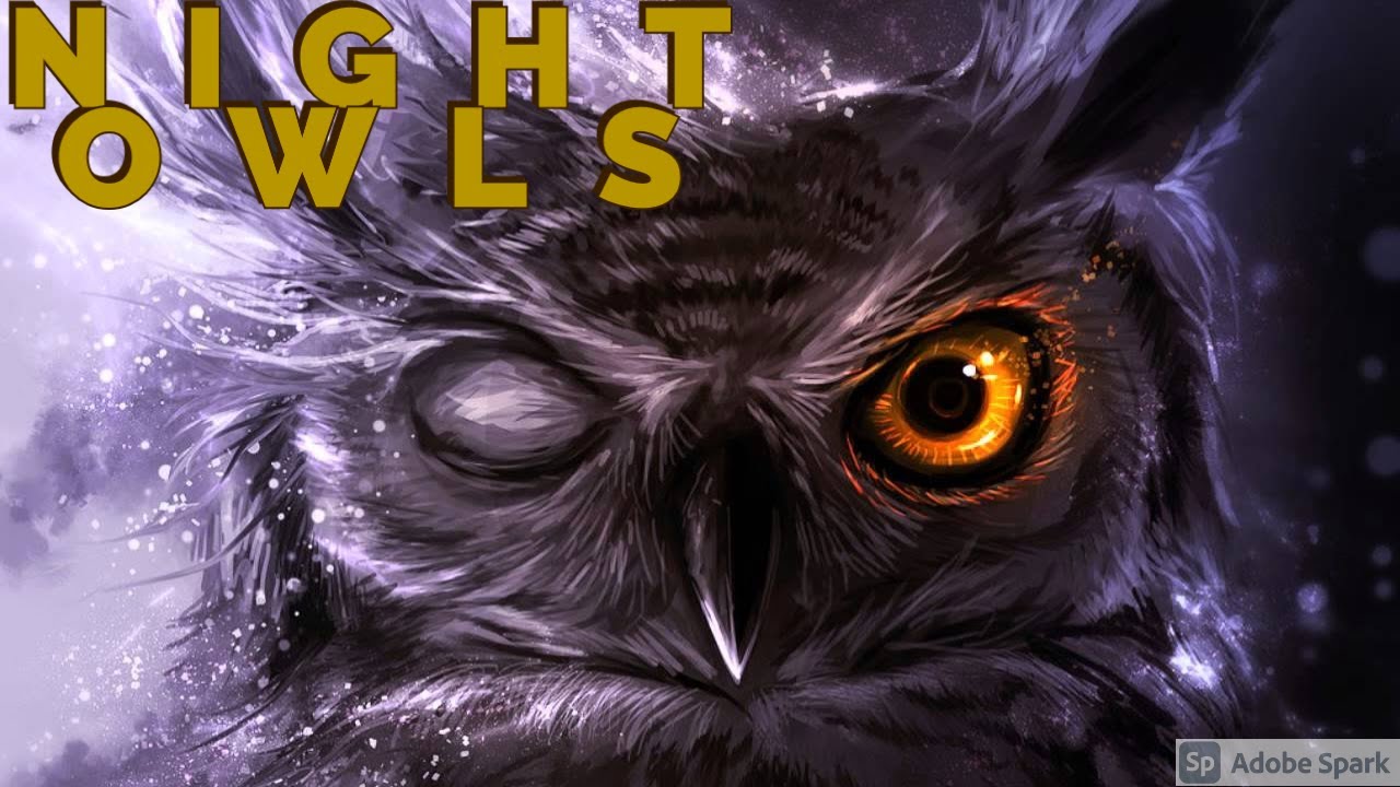 Night Owls on he Games of 2026