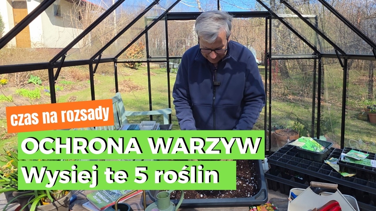 Sekret Zdrowego Warzywnika. 🍅 Lista 5 roślin, kt&oacute;re musisz wysiać już teraz na rozsadę!