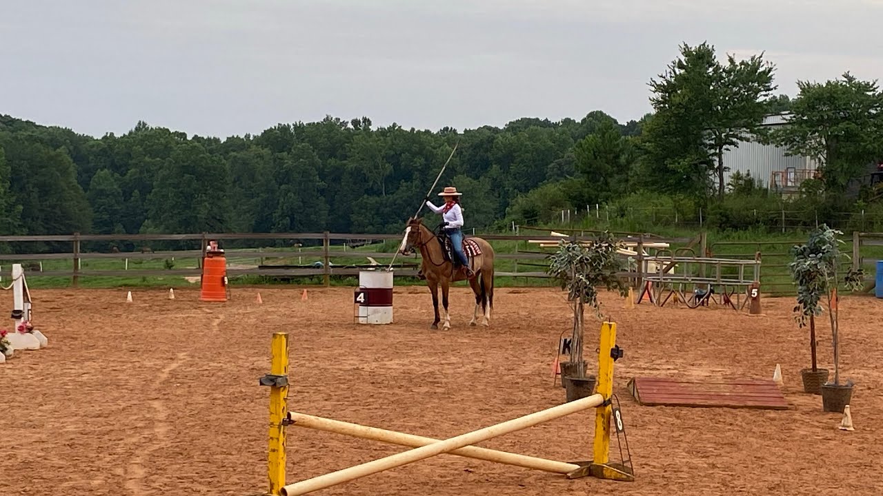 Working Equitation Level 1 EOH