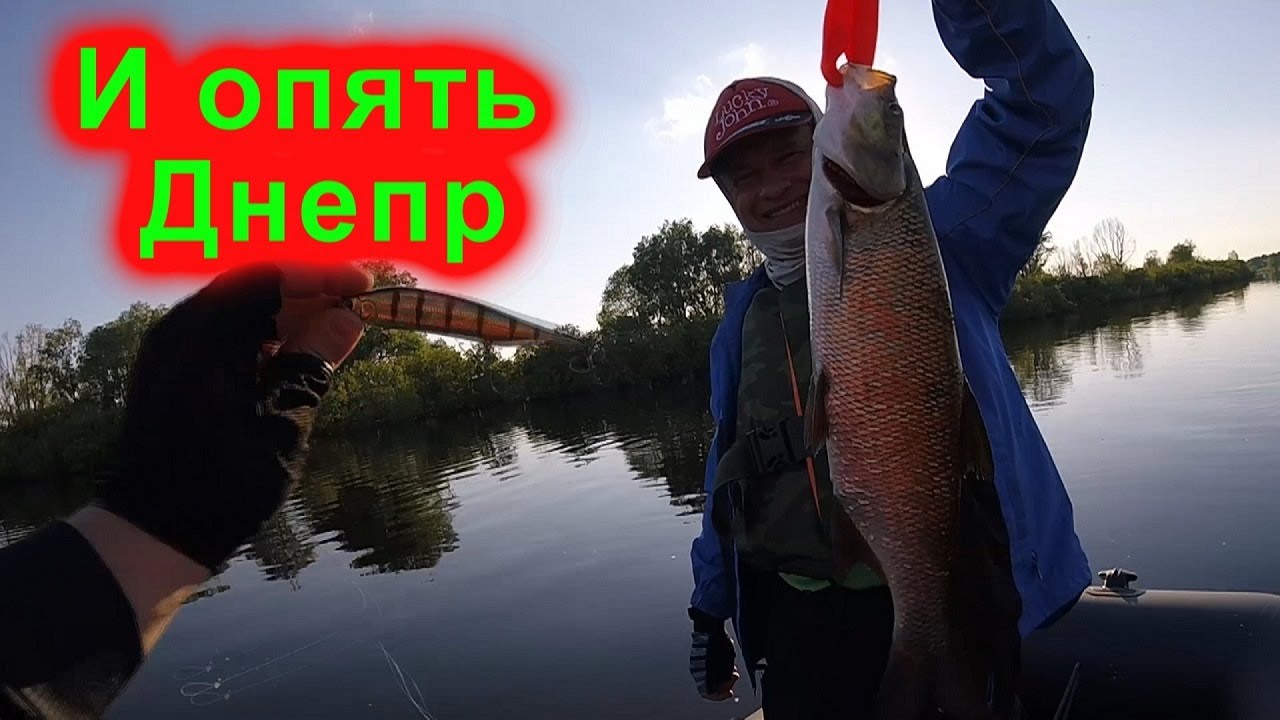 Рыбалка на Днепре. Ловля щуки и жереха на воблеры.