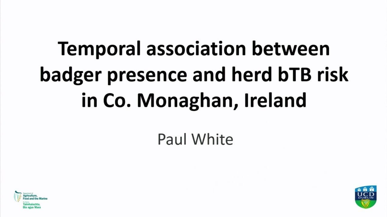 Temporal association between badger presence and herd bovine tuberculosis (bTB) risk