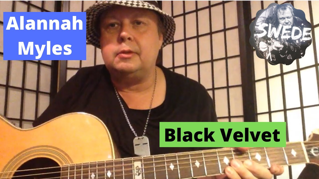 Аланна Майлз — Black Velvet — Урок игры на гитаре