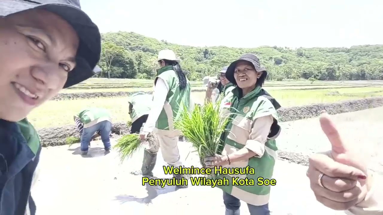 Kegiatan Gerakan Tanam Simbolis Padi Serentak Mendukung Swasembada Pangan di Indonesia