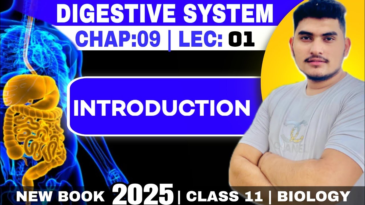 Digestive system  | Biology class 11 new book 