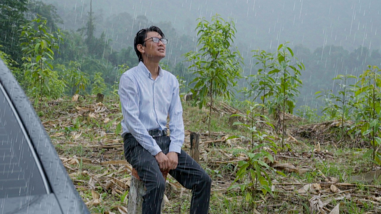 CEO Tony goes looking for Thuong in the heavy rain – Will Thuong come back to him?