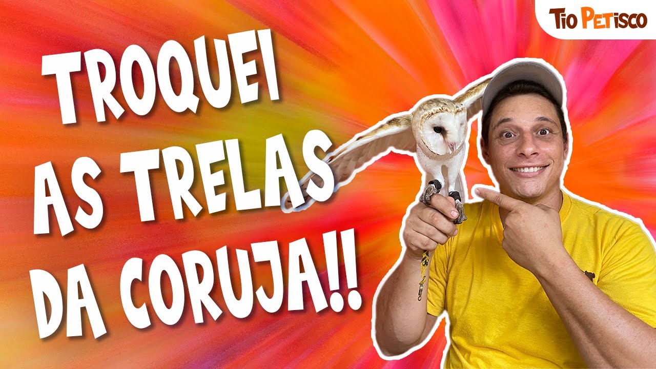 Como atrelar uma coruja