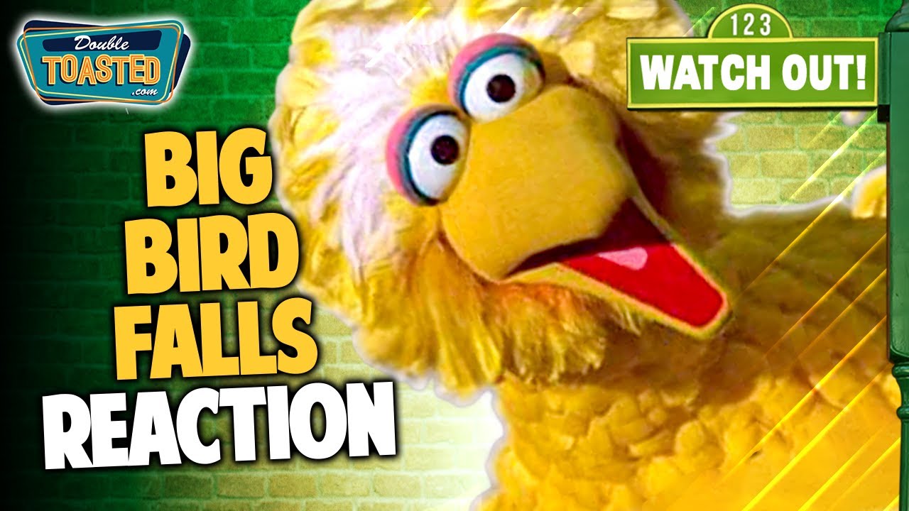 BIG BIRD FALLS OFF STAGE REACTION | Double Toasted