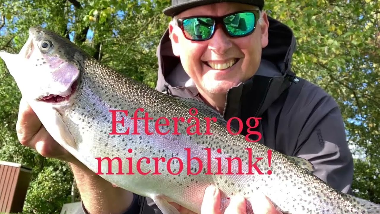 Efterår og microblink i ørredsøen!