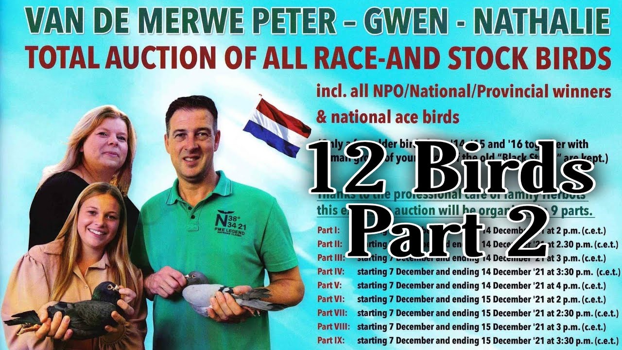Peter Van De Merwe Total Auction Part 2 - 12 Super Birds | Peter Van De Merwe
