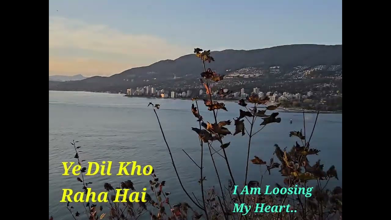 Chal Diye Tum Kaha Pe | LYRICS | English Translation | November 9, 2024 |