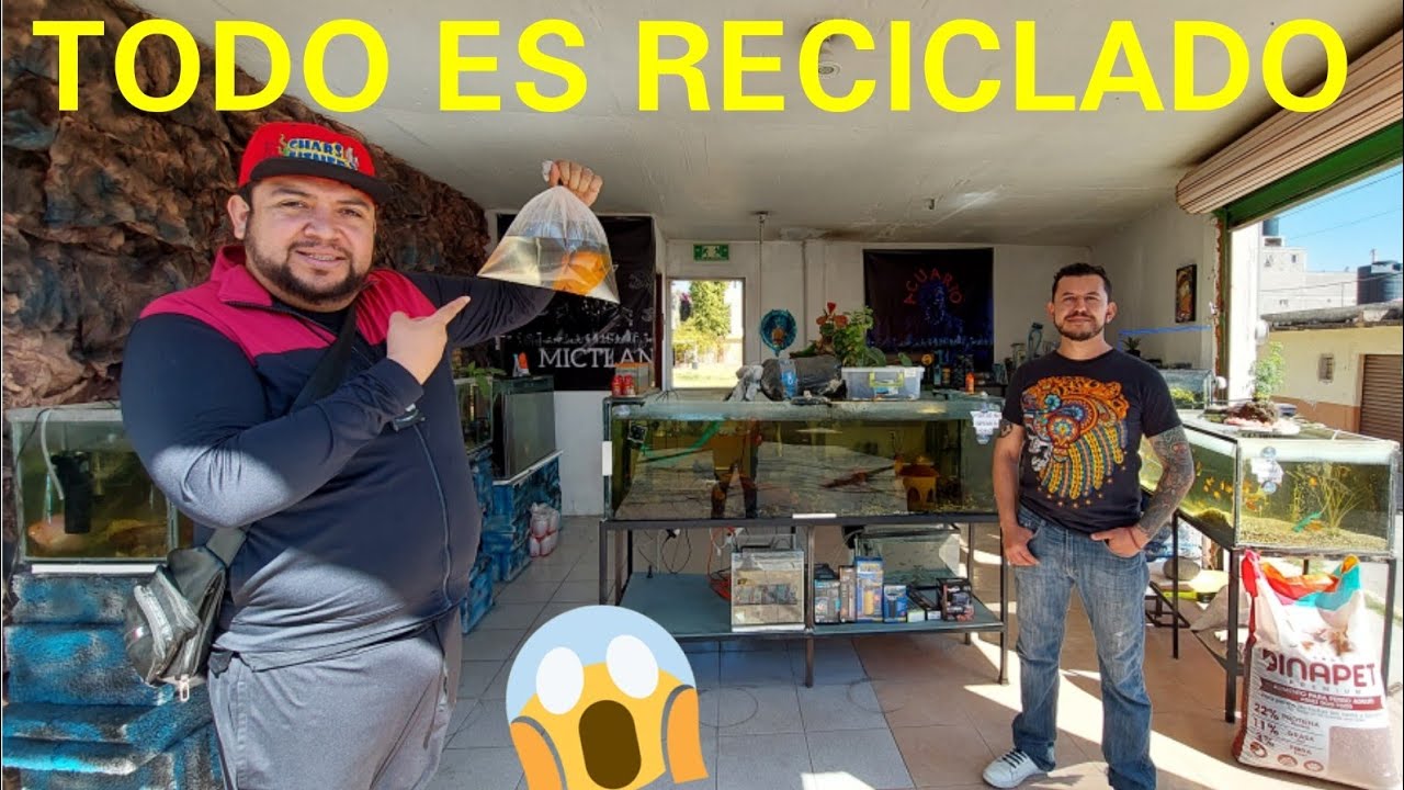 CONOCI LA TIENDA DE PECES HECHA SOLO CON MATERIALES RECICLADOS: ACUARIO MICTLAN
