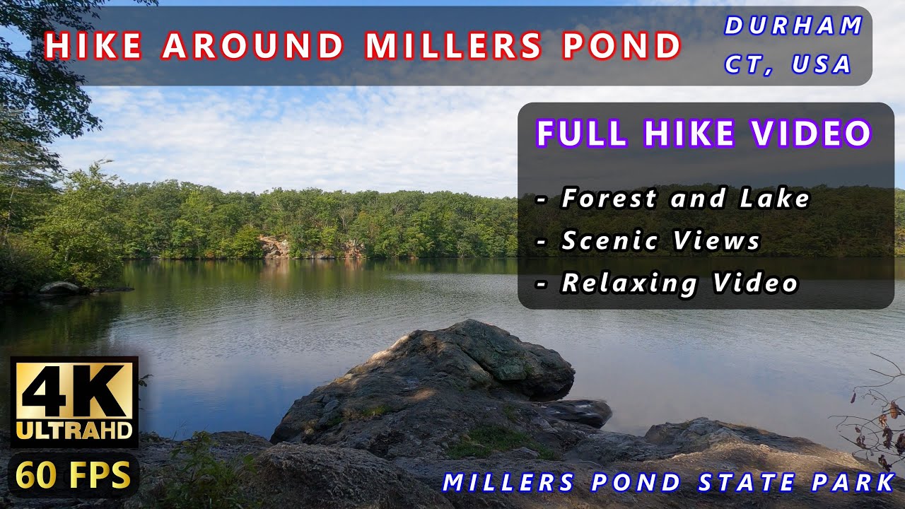 VIRTUAL HIKING ~~ Millers Pond State Park | ASMR, Nature, Relax, Connecticut (Walking in the woods)