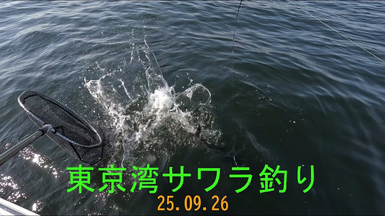 20250926東京湾ボートサワラ釣り