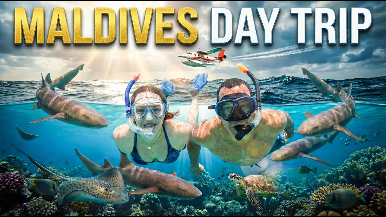 Maldives Day Trip REVIEW🦈🦈🦈