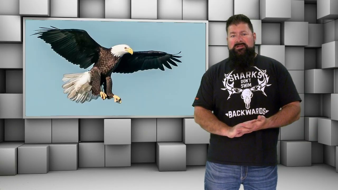Fun Farm Videos on Shark Farmer TV