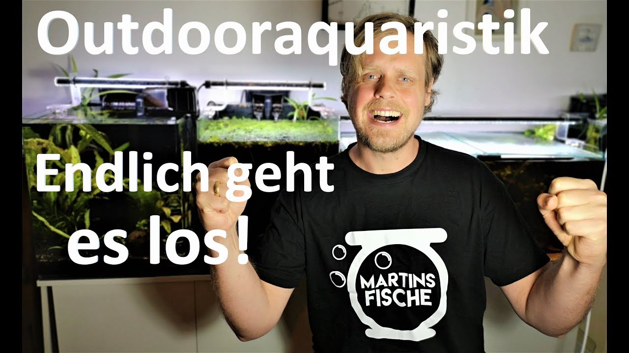 Outdooraquaristik 2019 - Miniteich mit Garnelen und Fischen