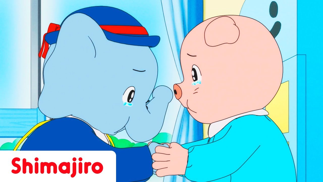 You'll always be our friend! | Kindness Special Compilation | Shimajiro