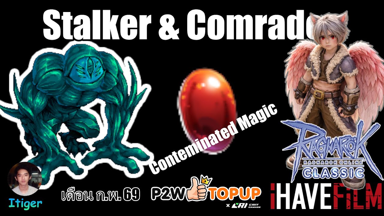 Stalker & Comrades farrning AO 🔴EP: 247 #ragnarokonline #roc #OGH #ao