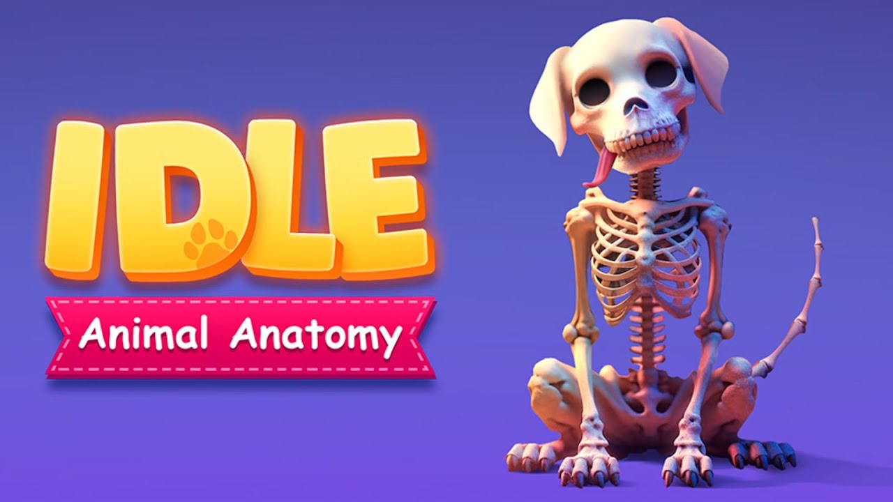 Idle Animal Anatomy Gameplay