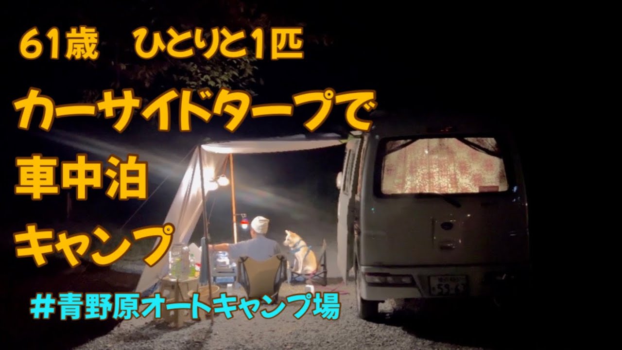 【カーサイドタープで車中泊】61歳ひとりと1匹車中泊キャンプ#青野原オートキャンプ場