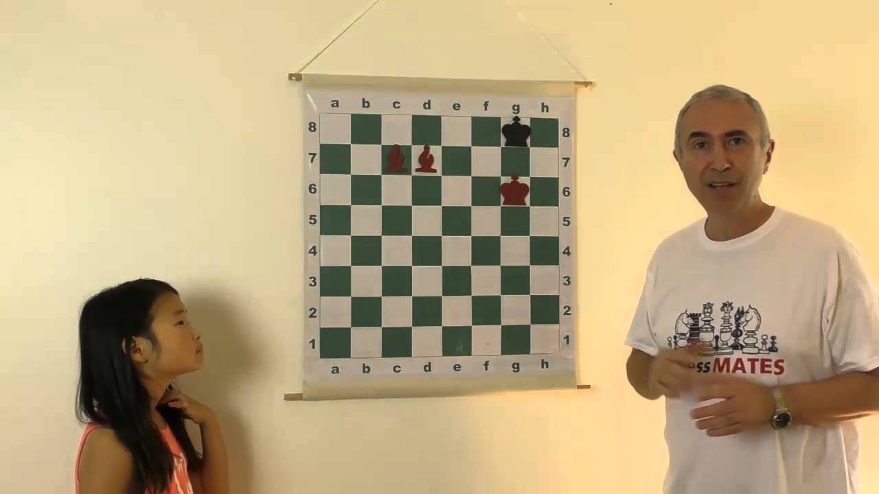 How to Checkmate with 2 Bishops - Chess for Beginners