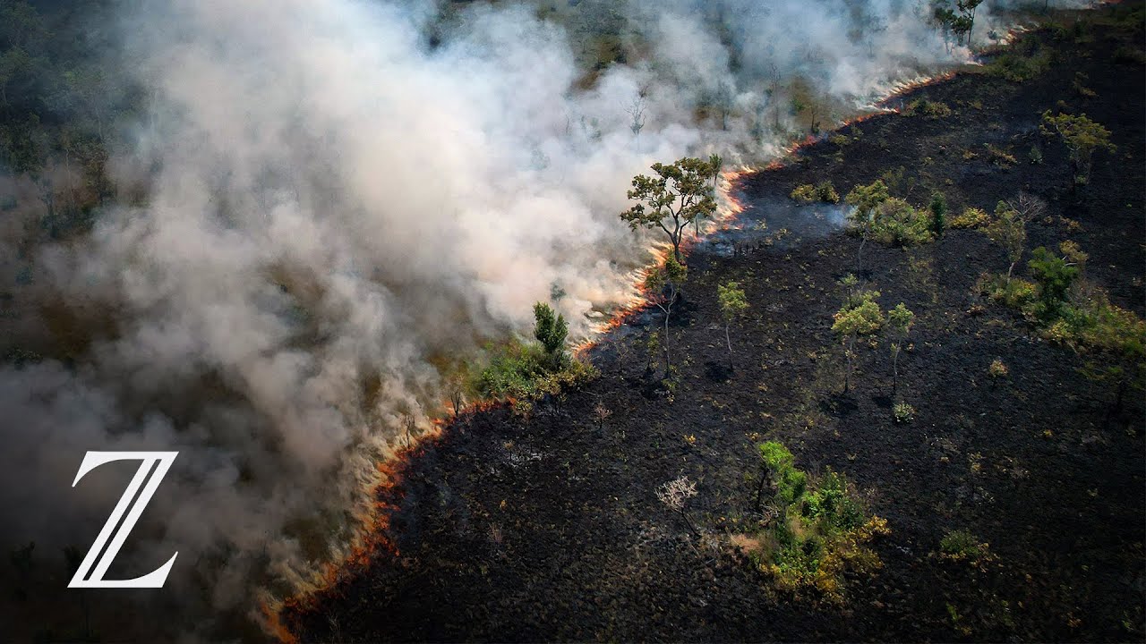 Das Amazonasgebiet brennt so stark wie zuletzt vor über 10 Jahren