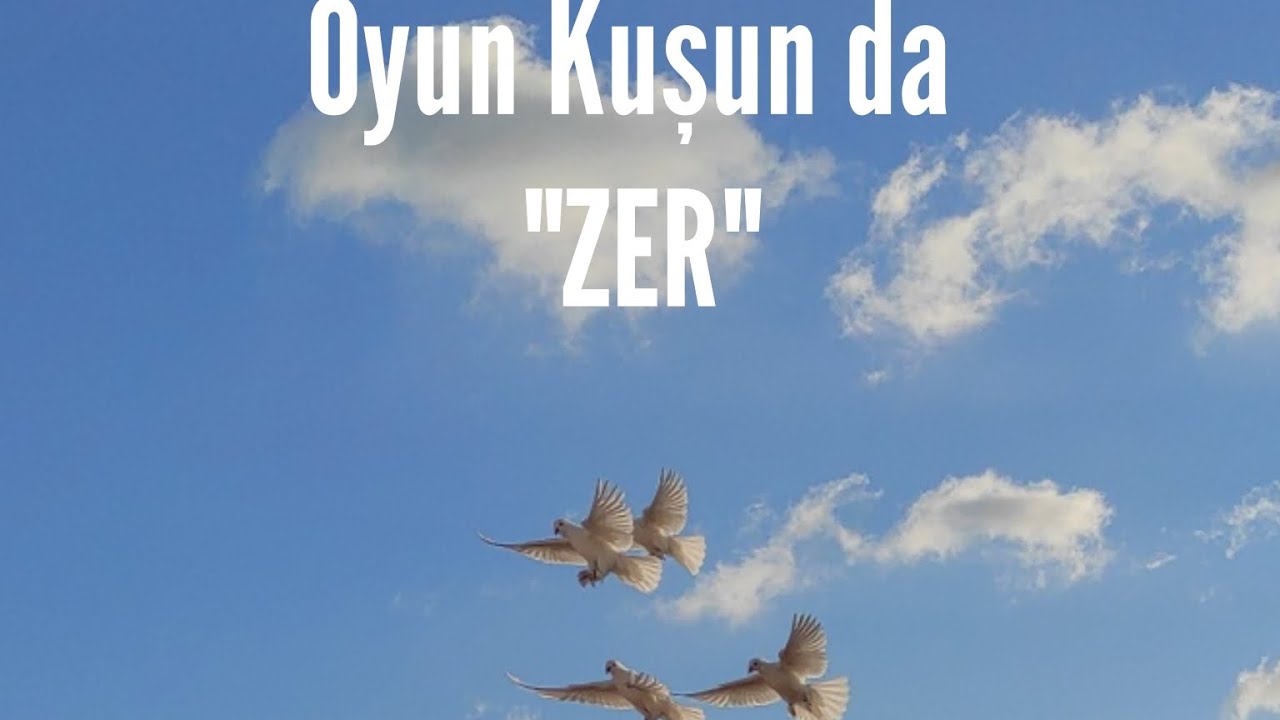 Taklacı oyun kuşun da 