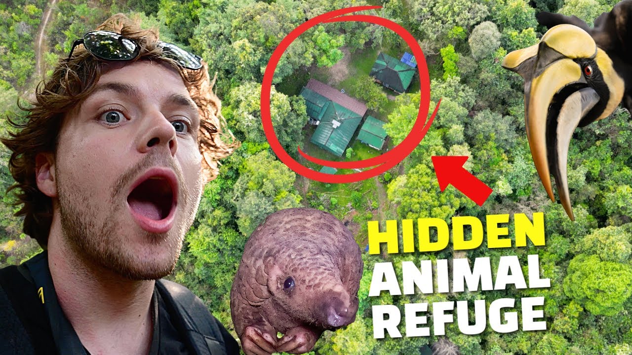 INSIDE A SECRET WILDLIFE STATION IN CAMBODIA 🐾🇰🇭 | WILD TRIPS