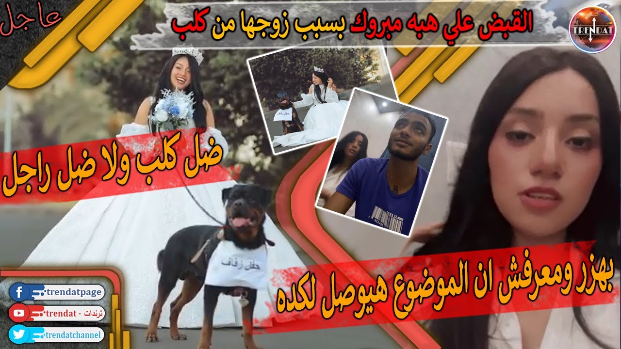عاجل. القبض علي هبه مبروك بسبب صور زواجها من كلب | القصة كاملة