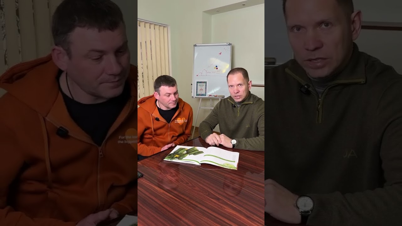 Вибір правильного гібриду огірка для консервації 