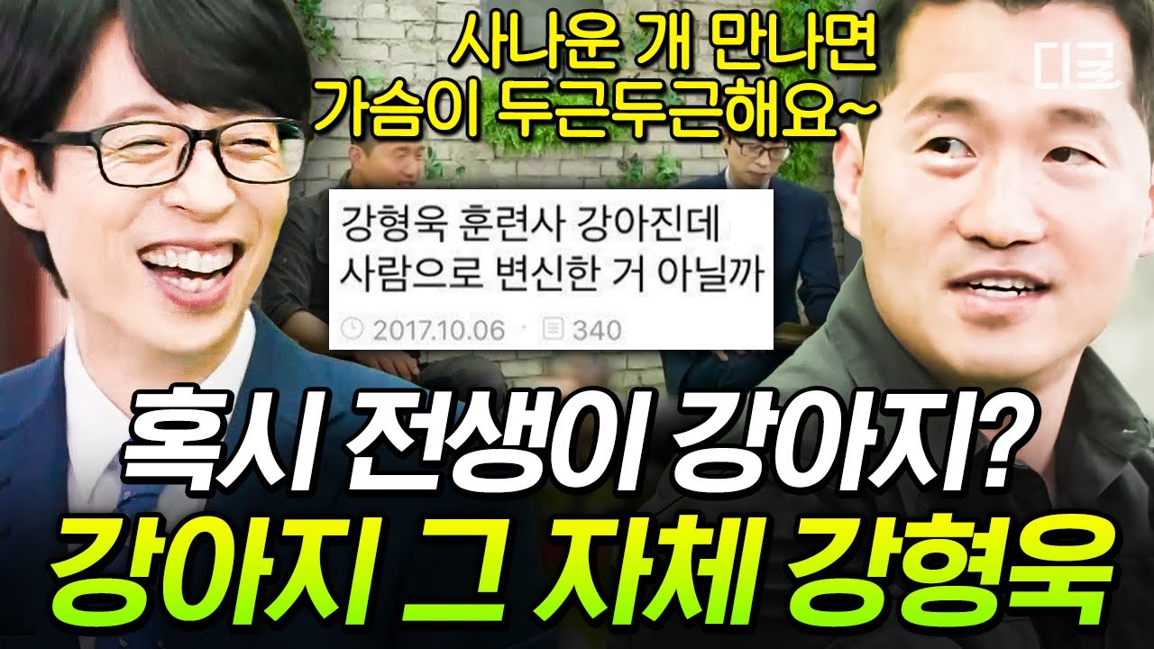 [#유퀴즈온더블럭] 강아지 눈빛 완벽히 읽어버리는 강아지 강 씨 강형욱🐶 개통령이 사나운 개를 만났을 때 메소드 연기하는 이유는?