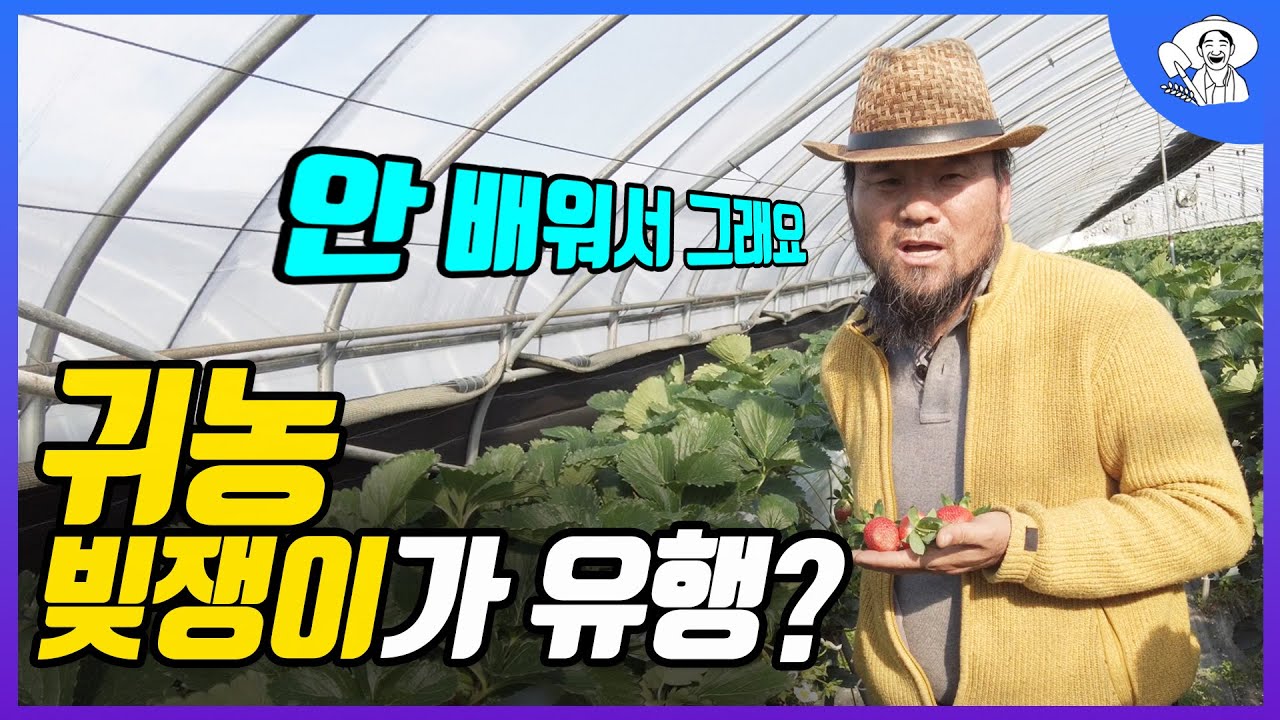 딸기명인이 진심으로 말하는 품종, 병충해, 딸기농사로 돈버는 방법